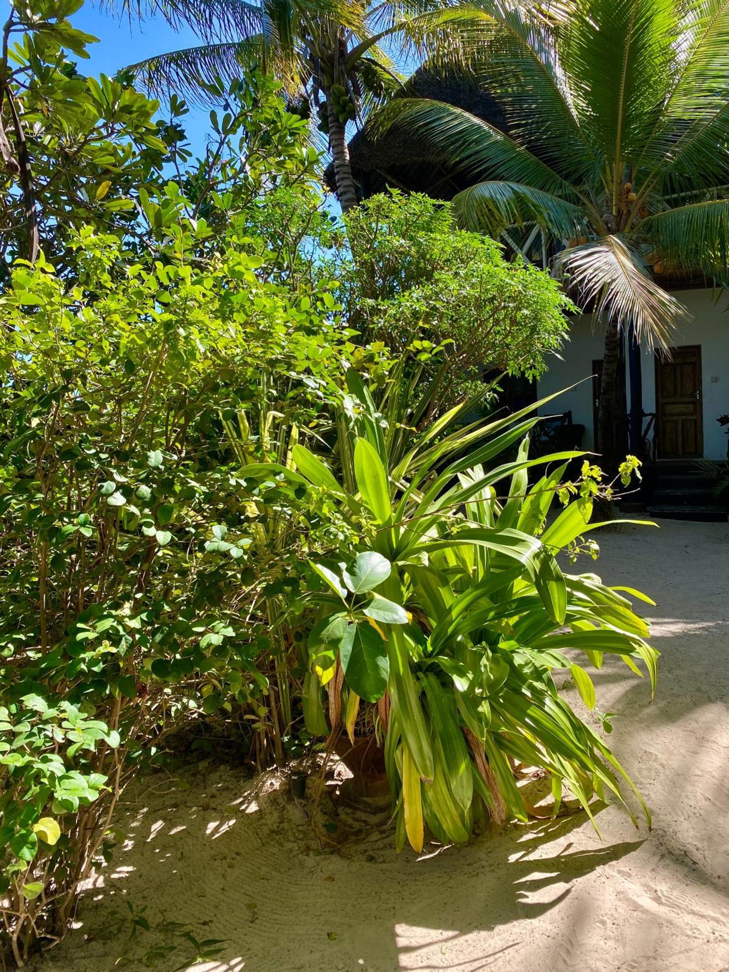 The Seles Boutique Hotel Matemwe  Zewnętrze zdjęcie